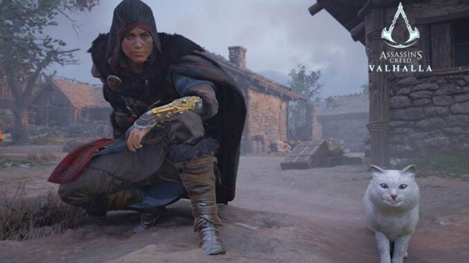 Où trouver le live chat Unibet ?