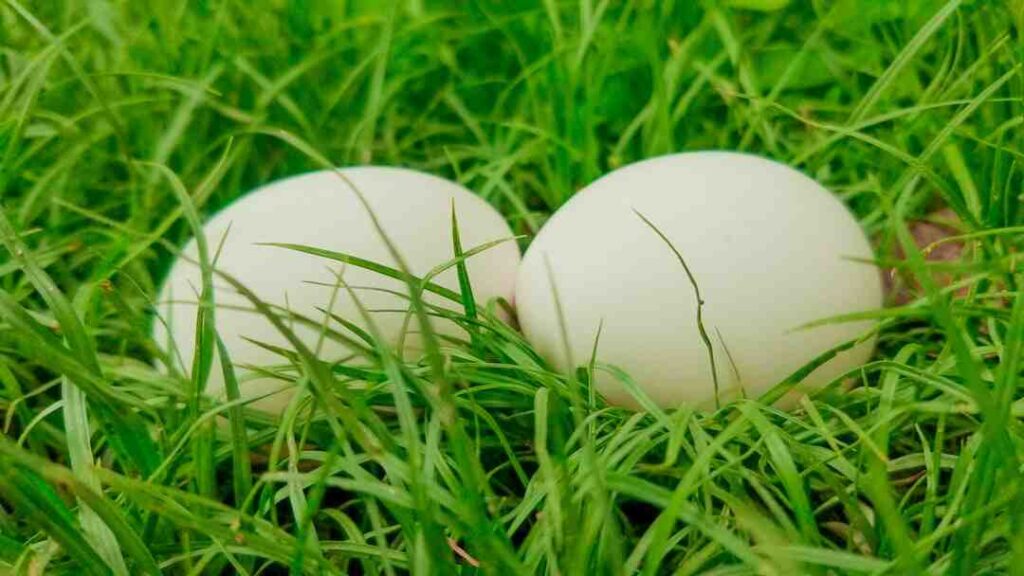 Comment être sûr de gagner paris sportif ?