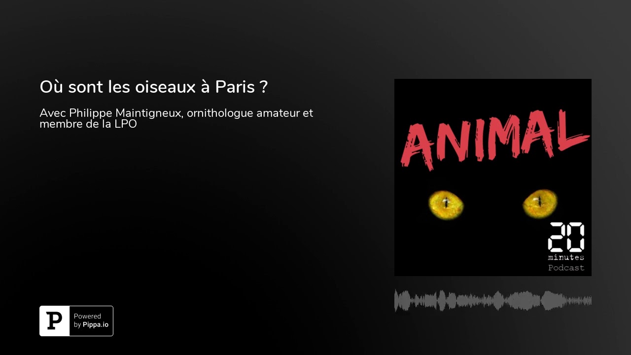Où sont mes paris sur Winamax ?