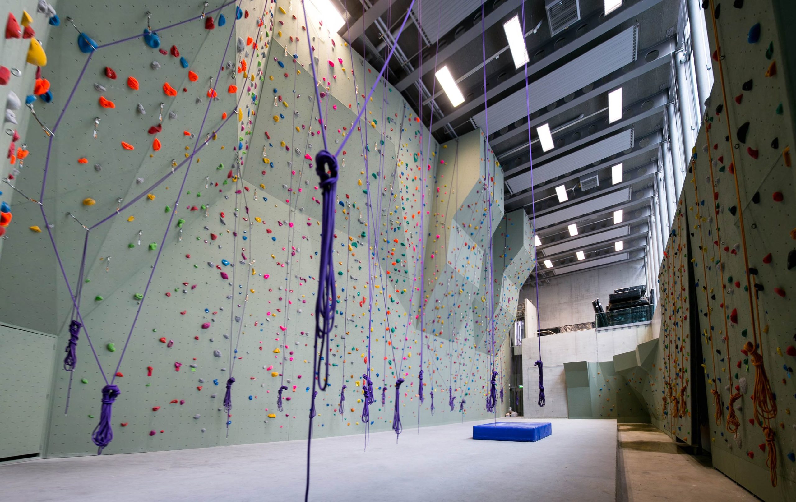 Où faire des paris sportifs ?