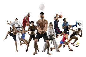 Quel est le sport le plus facile à pronostiquer ?