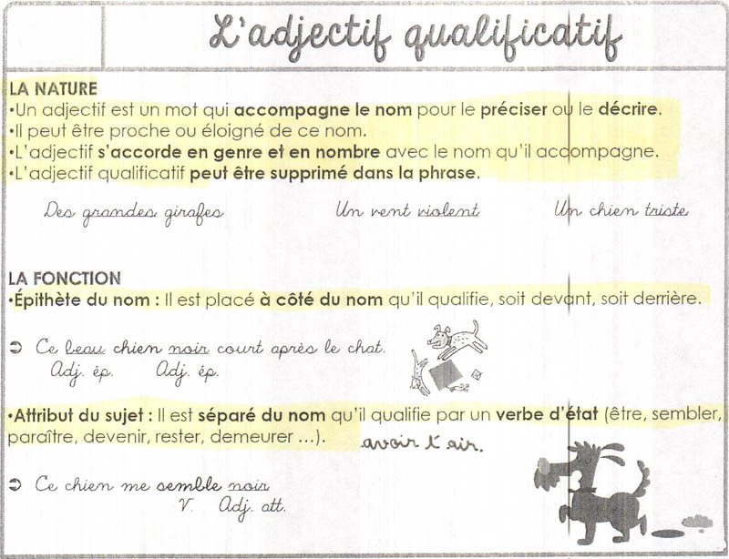 Est-ce que nouvelle est un adjectif ?