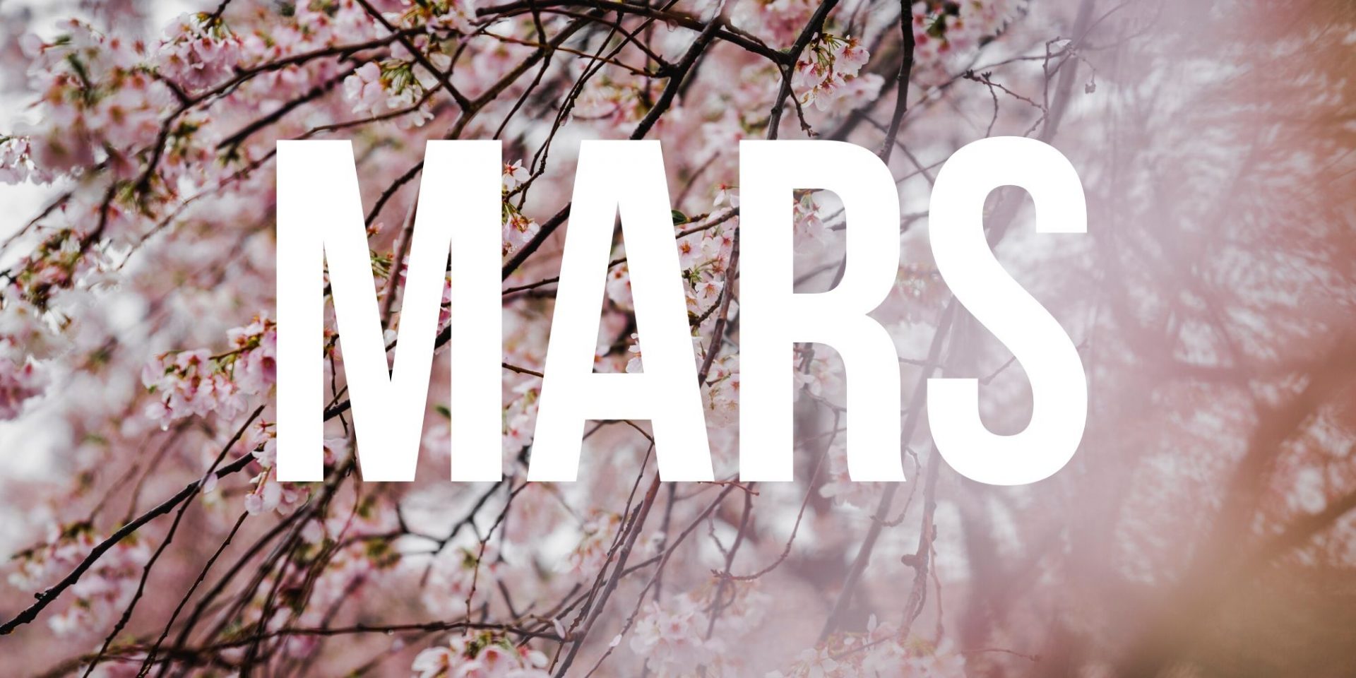 Où aller au mois de mars ?