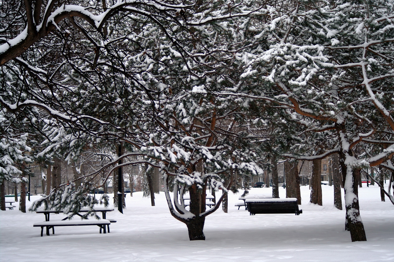 Quand neige-t-il au Danemark ?