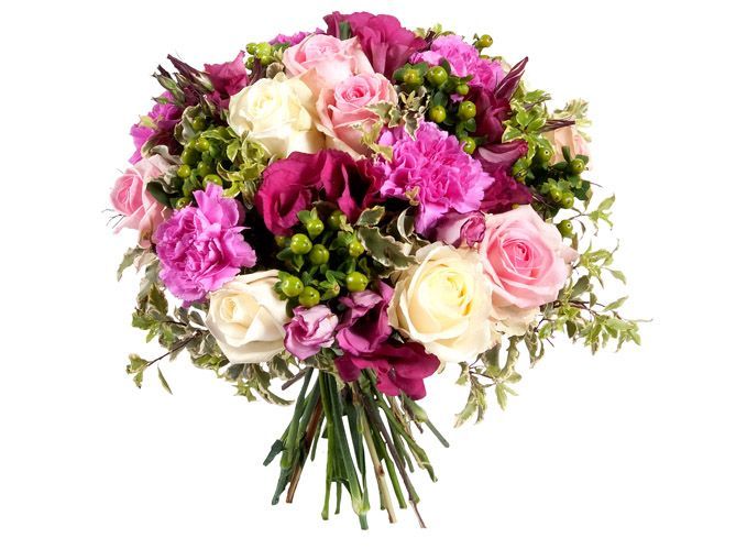 Comment choisir un bouquet sur Free ?