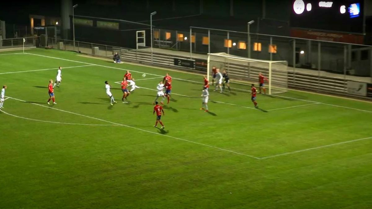 Qui a marqué contre le Danemark ?