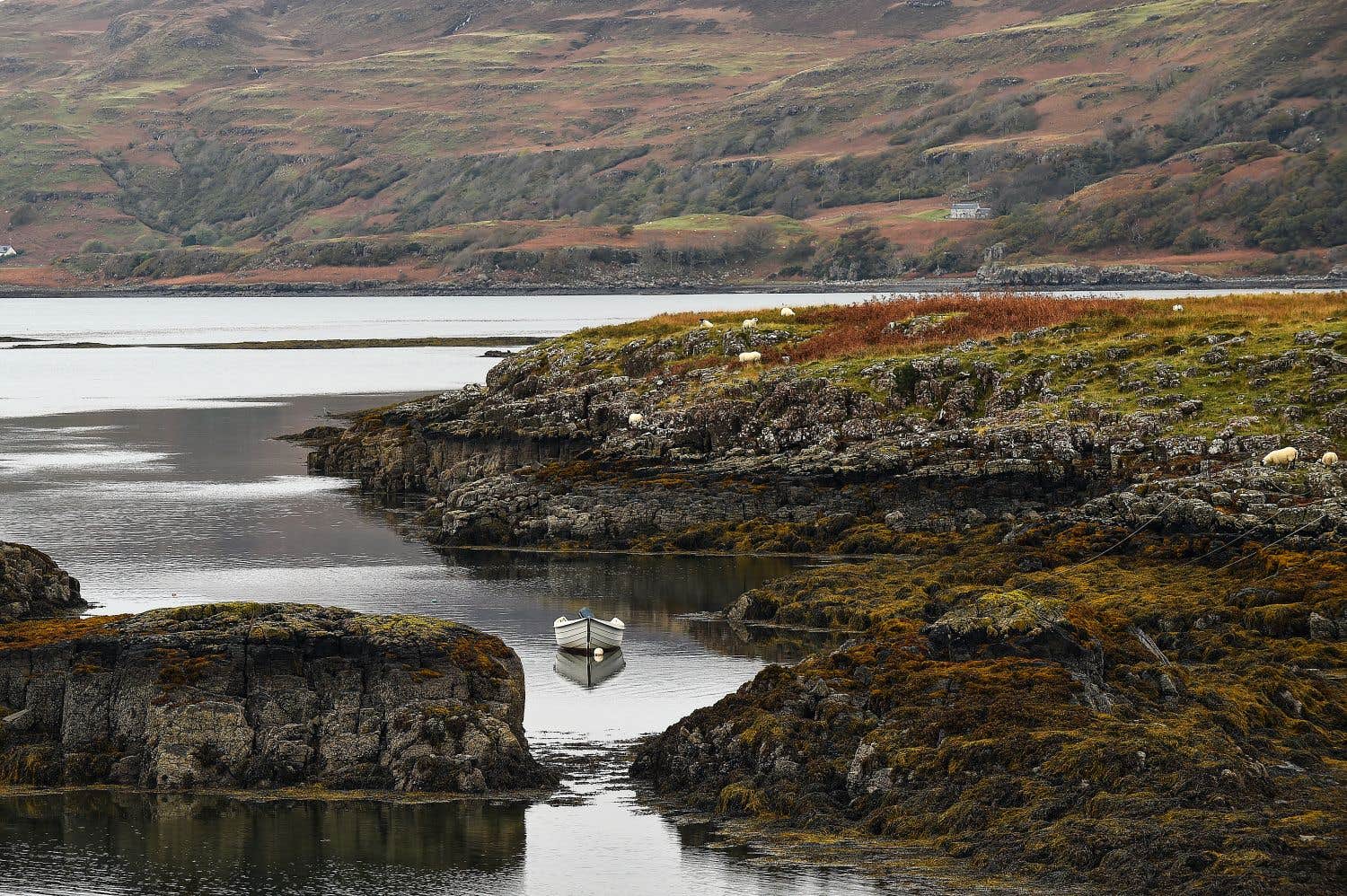 Quand l’Écosse A-t-elle cessé d’être indépendante ?