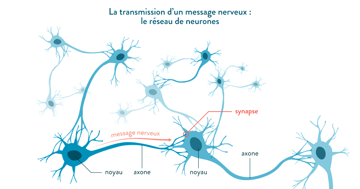 Quelle est la nature de nouveau ?