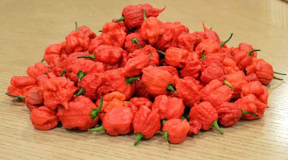 Quel est le club le plus fort en 2020 ?