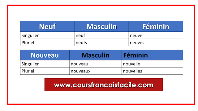 Quelle est la différence entre neuf et neuve ?