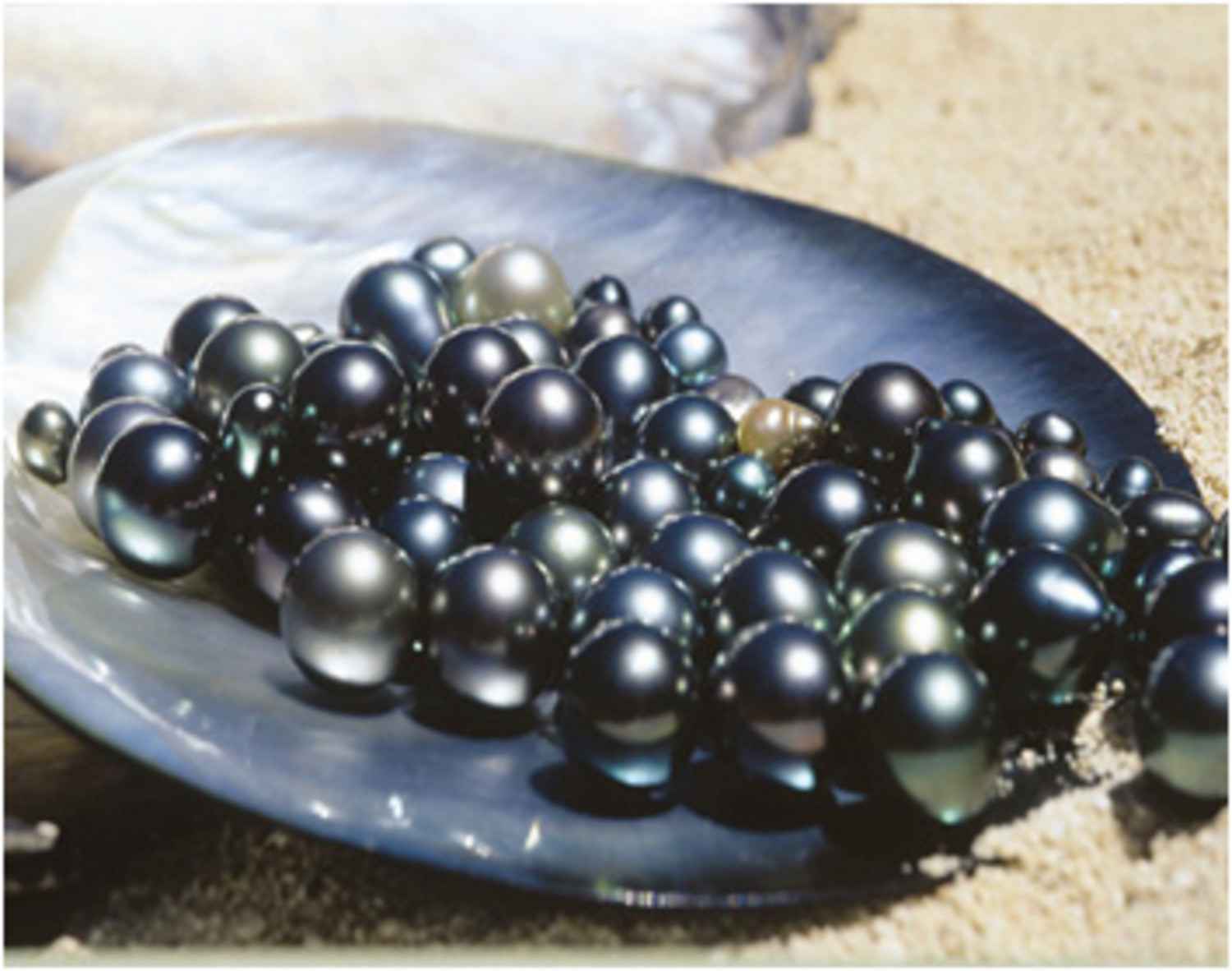 Qui est la perle noire ?