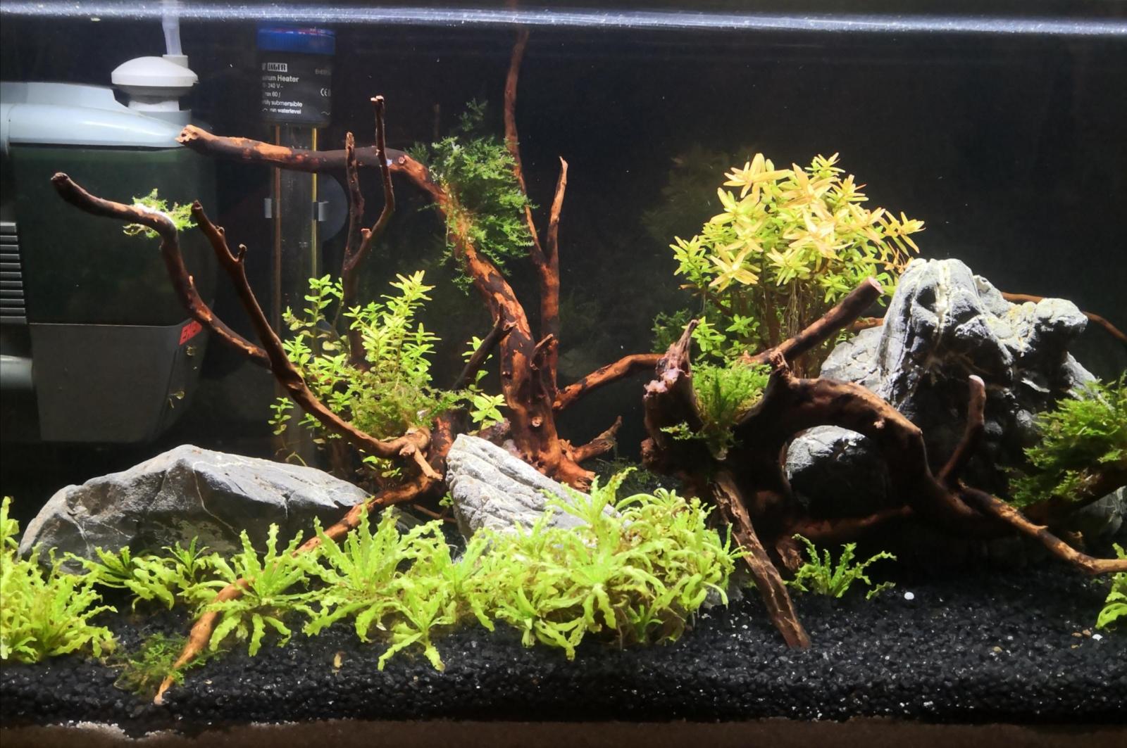 Quelle est le nom de Marquinhos ?