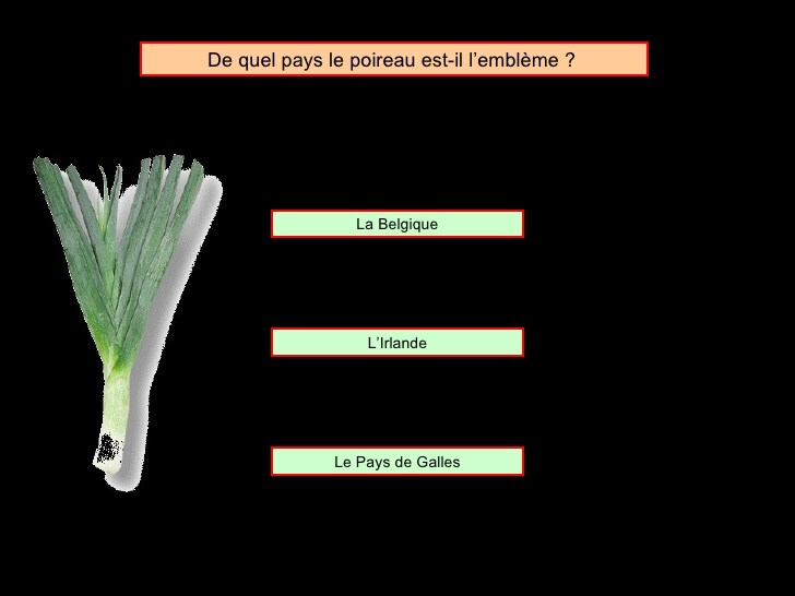 Quel pays a pour symbole le poireau ?