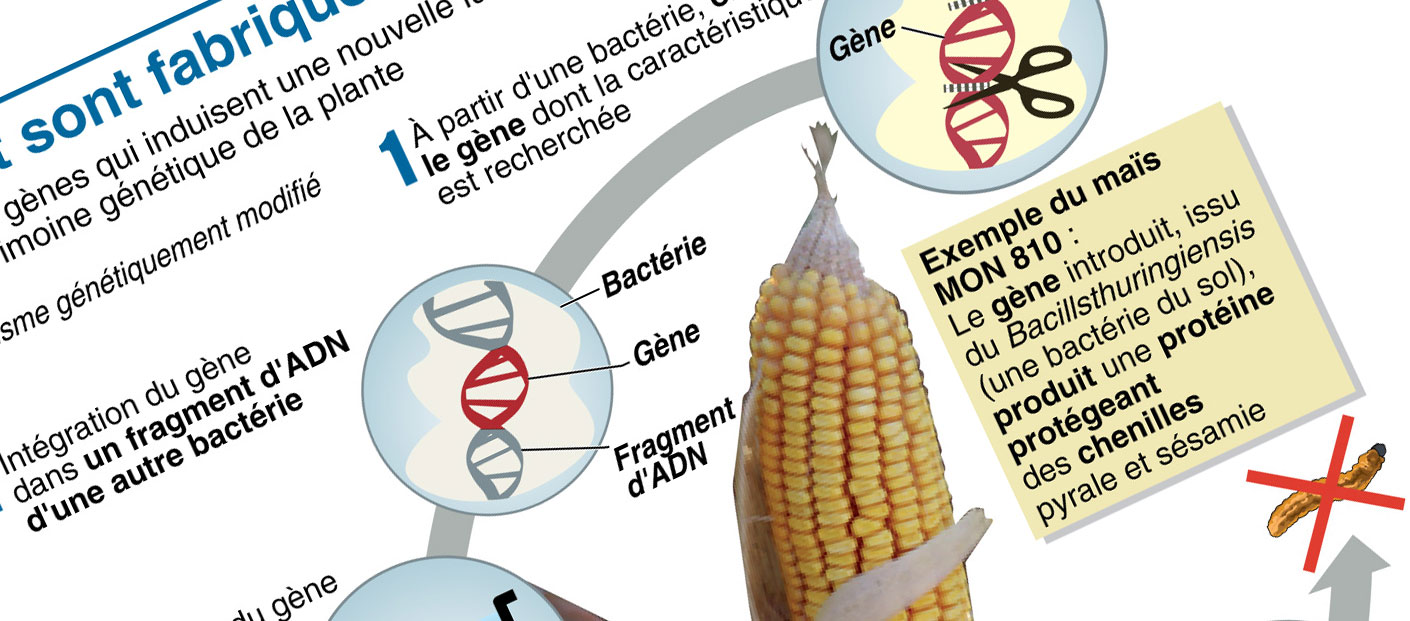 Comment sont les barcelonais ?