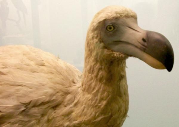 Pourquoi le franc a disparu ?