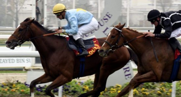 Comment obtenir un code bonus Zeturf ?