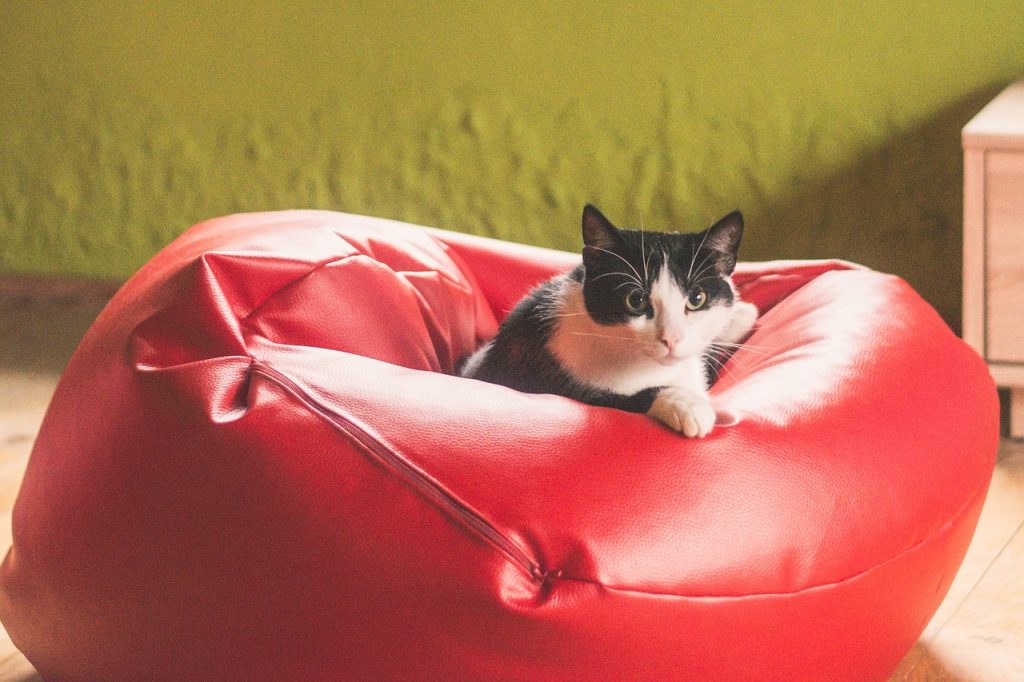 Pourquoi pouf ?