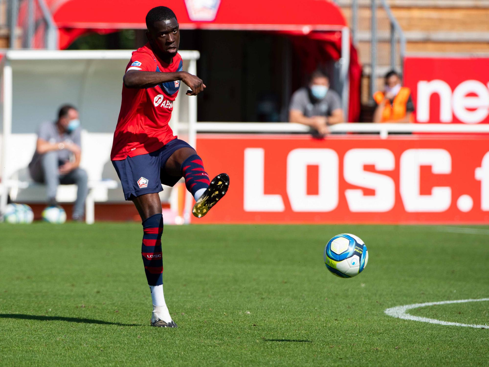 Qui sont les actionnaires du LOSC ?