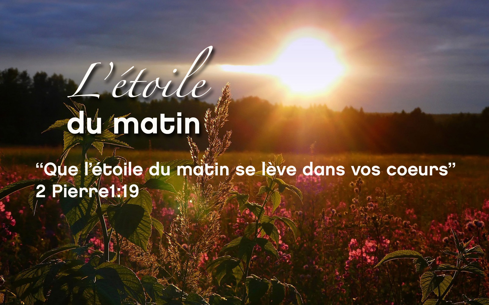 Quel est le contraire de commencement ?