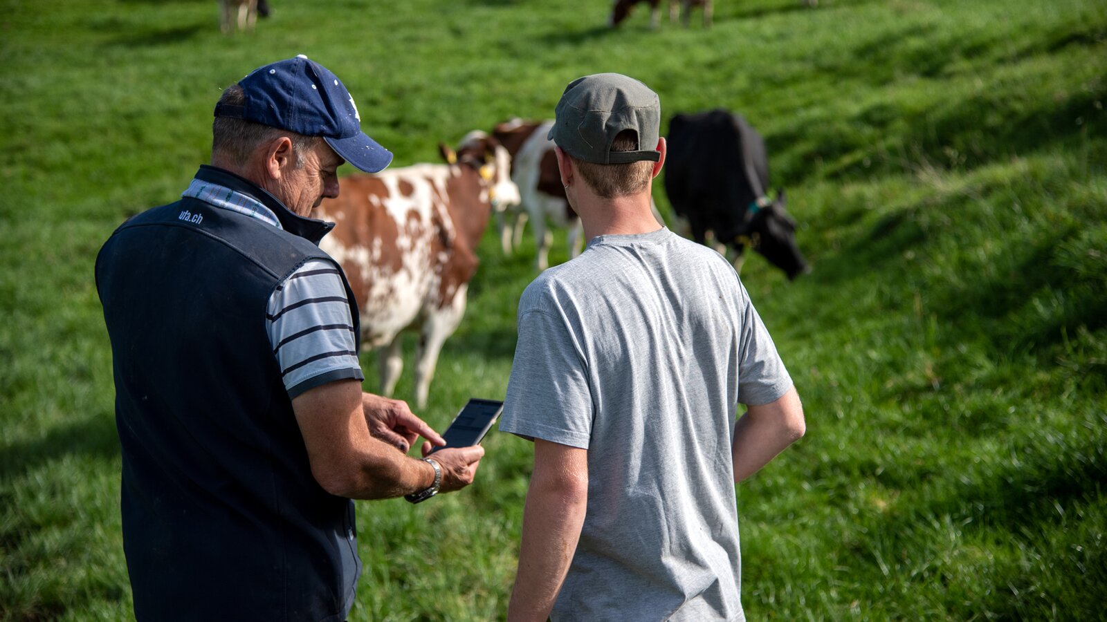 Est-ce que la Suisse est éliminé ?