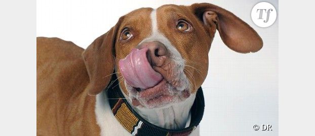 Quel est le dieu le plus laid ?