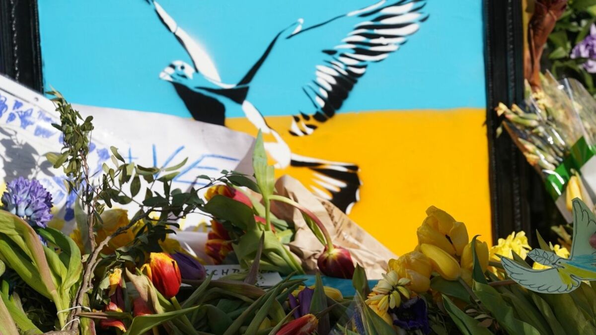 Des extrémistes revendiquent l’exécution d’un combattant ukrainien du MMA