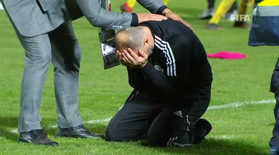 Terrible nouvelle des Fennecs !