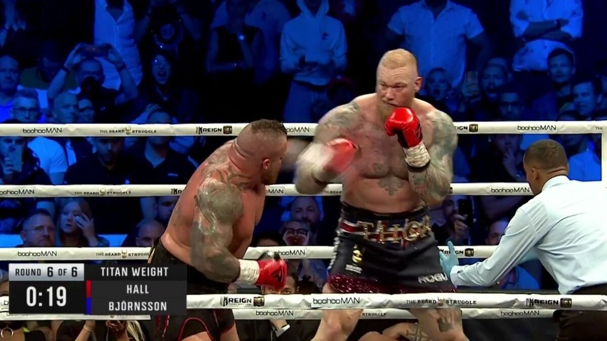 Mountain bat la bête dans une bataille féroce