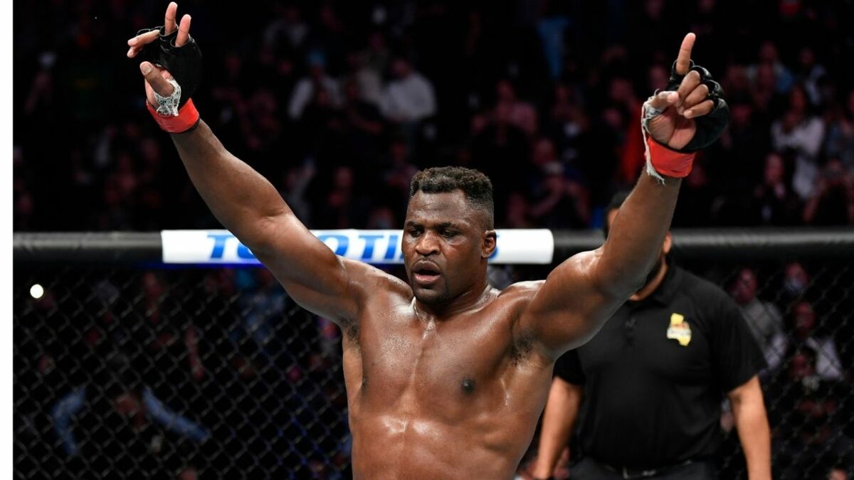 Raisons de la prochaine absence de neuf mois de Francis Ngannou