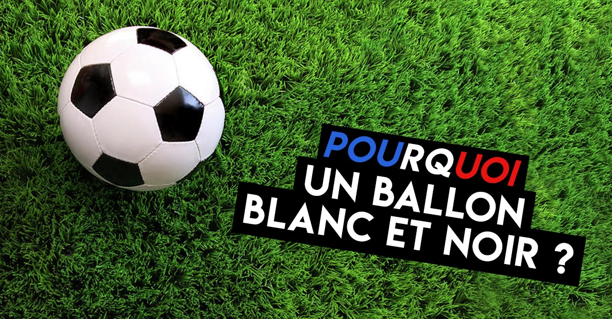 Comment Appelle-t-on le ballon de tenis ?