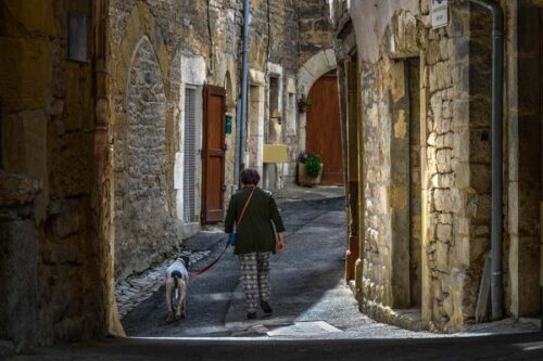 Comment avoir accès à fut Companion ?