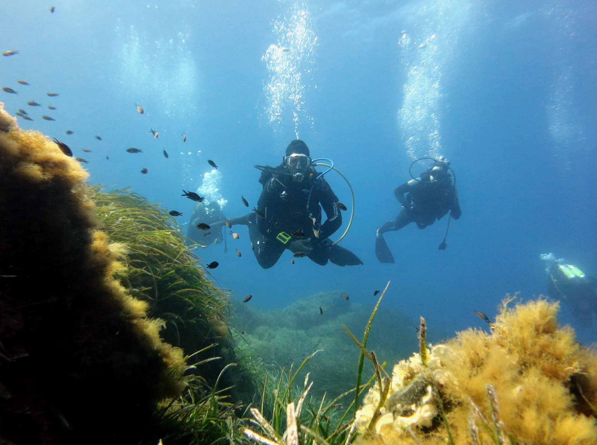 Comment plonger en gardien ?