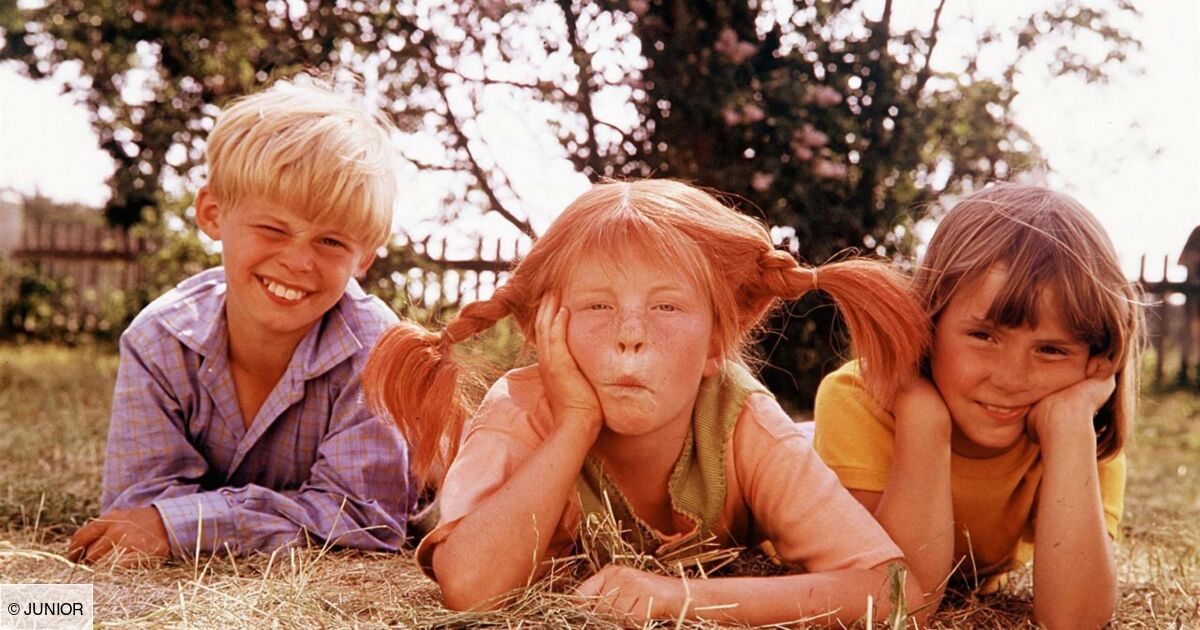 Quelle est l’histoire de Fifi Brindacier ?