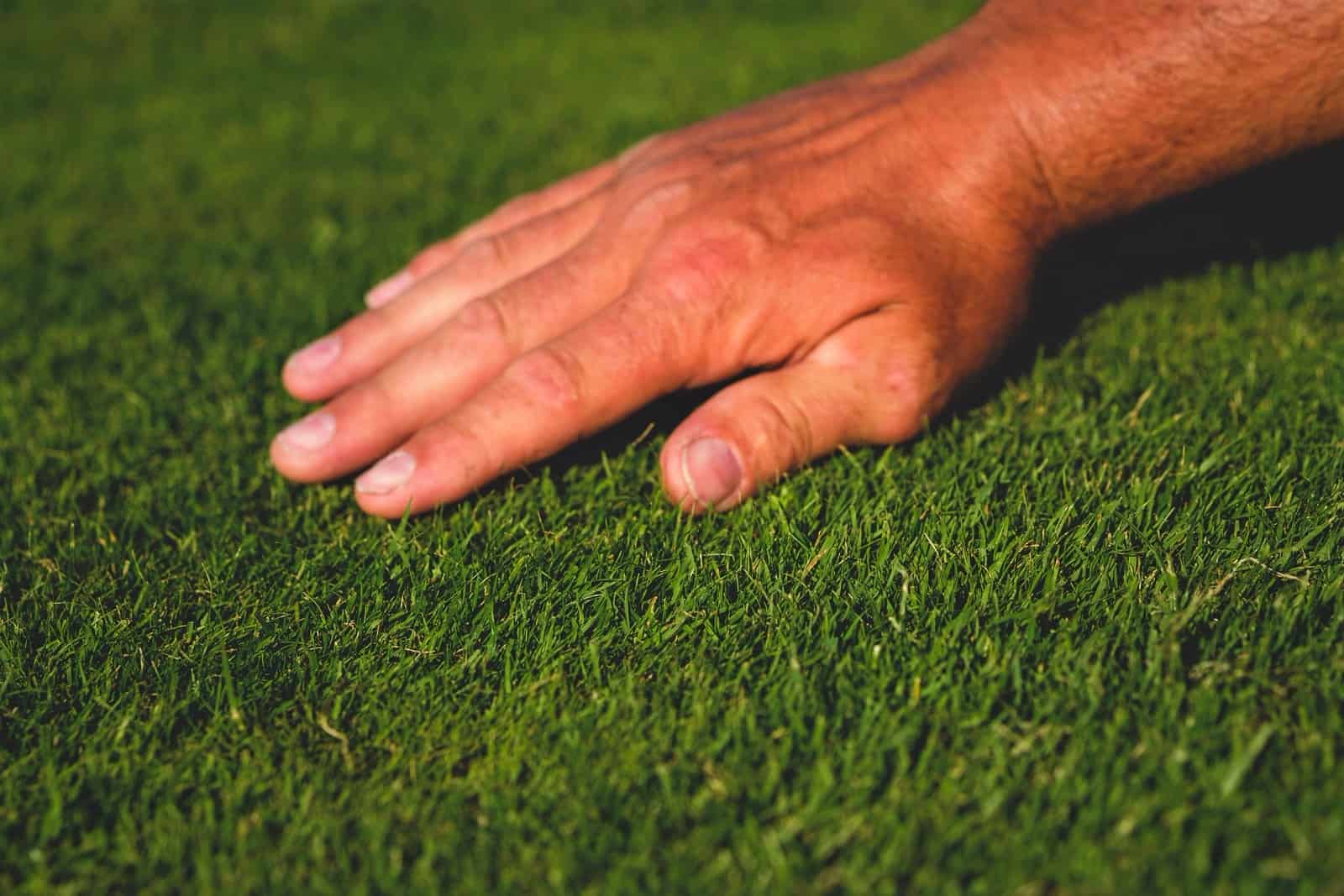 Qui s’occupe de la pelouse ?