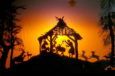 Quelle est la différence entre un Nouveau-né et un nourrisson ?