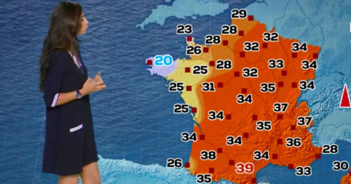 Quelle chaîne TF1 Séries Films ?