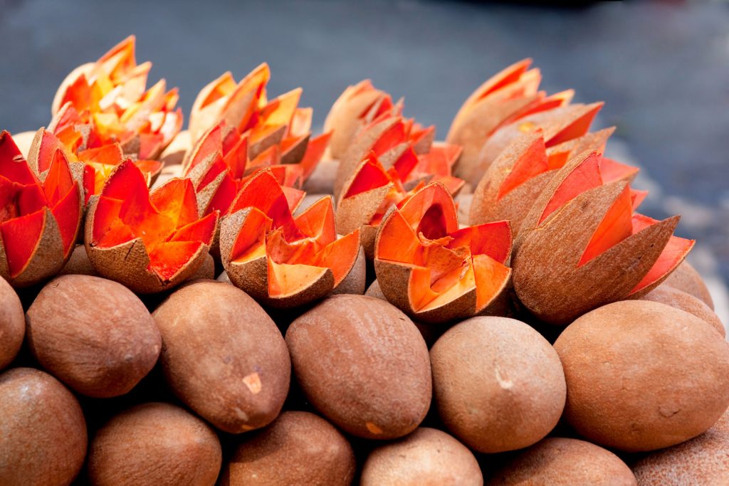 Quelle est la nationalité du Mexique ?