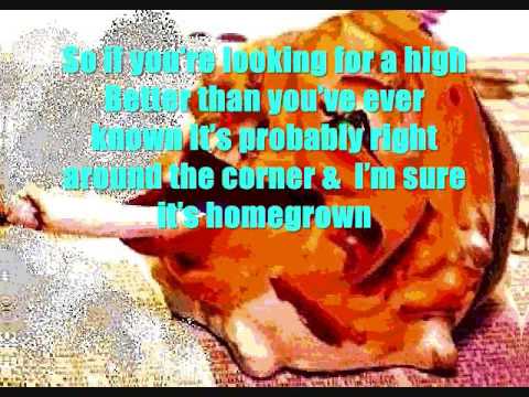 Why did Frankie Muniz stop acting?