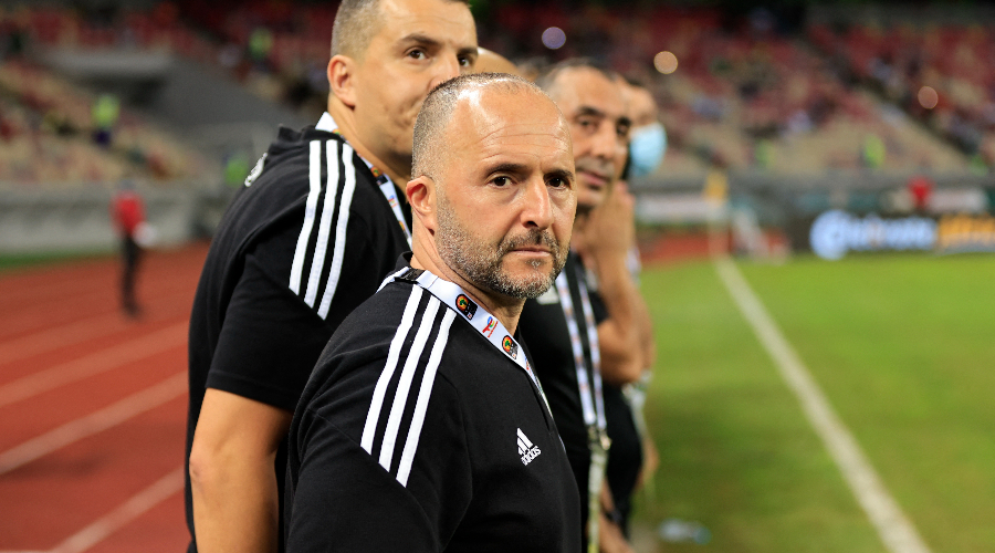 Mauvaise nouvelle pour les Fennecs