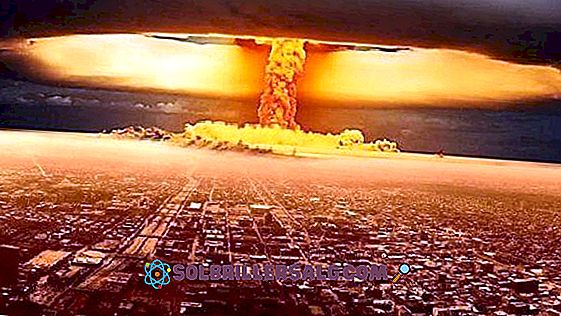 Quel est la cause de la guerre entre Russie et Ukraine ?