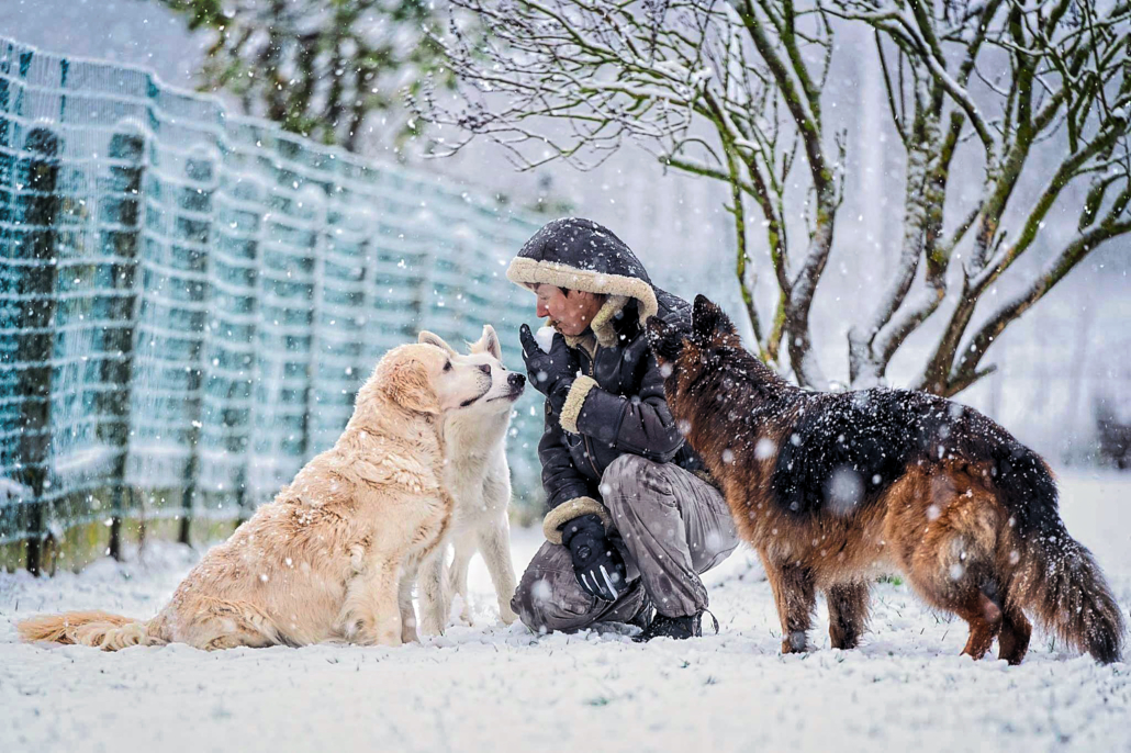 Pourquoi je n’ai pas eu mes récompenses Clash d equipe ?