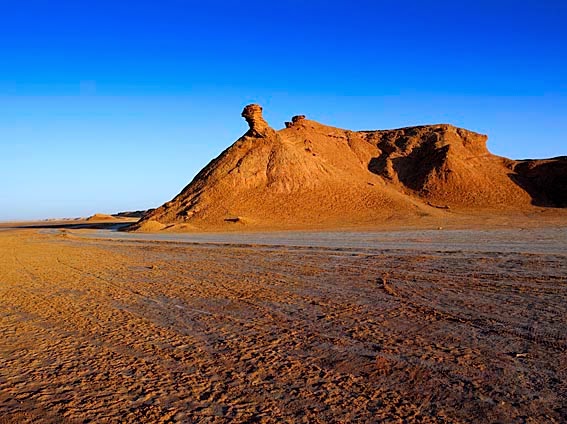 Où regarder Tunisie Gambia ?