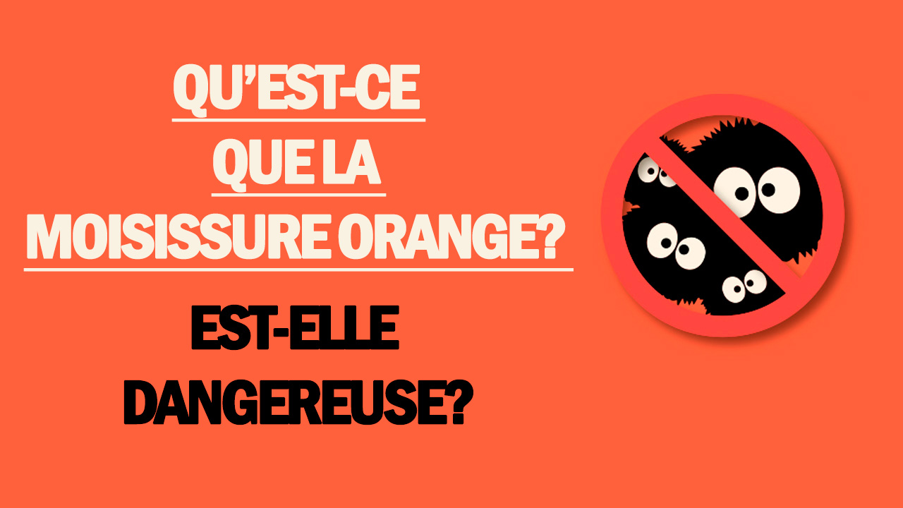 Est-ce que la Serbie est dangereuse ?