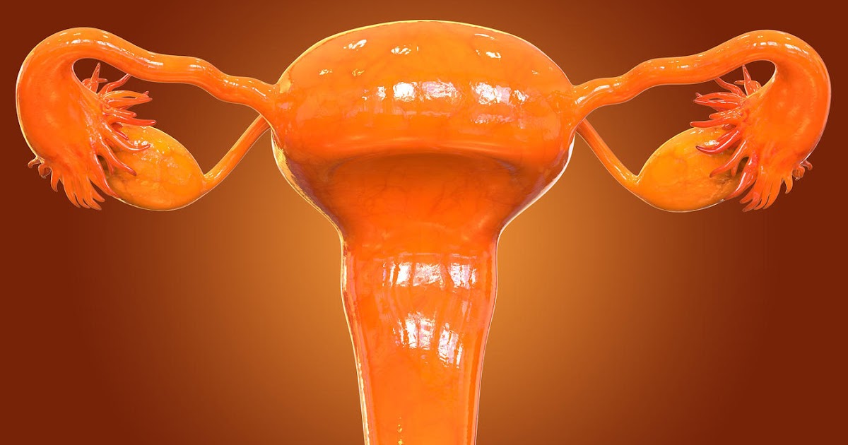 Quels sont les signes d’un cancer du foie ?