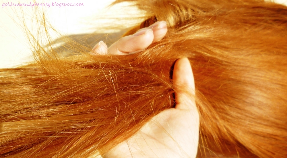 Quel est le salaire de Wendy Renard ?