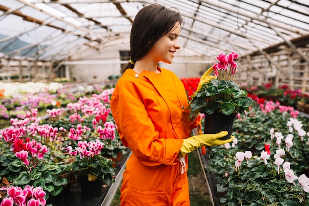 Quel est le prix horaire d’un jardinier ?