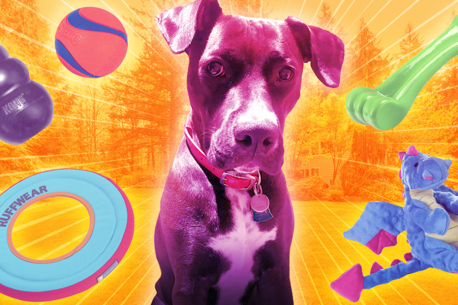 Quels sont les 10 meilleur buteur de tous les temps ?