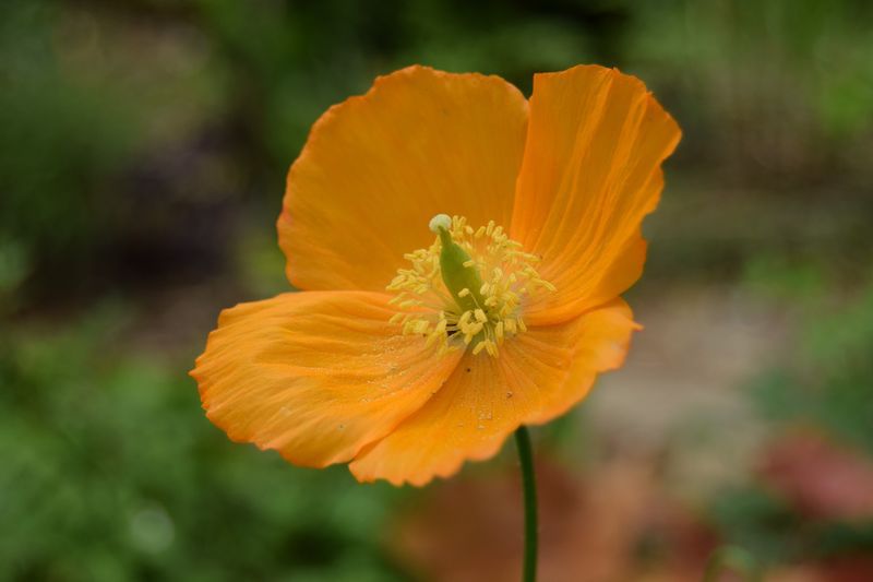 Quel est le caractère de Robinson ?