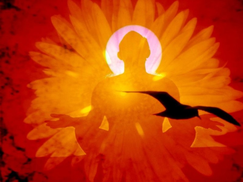 Quel est le synonyme du mot changement ?