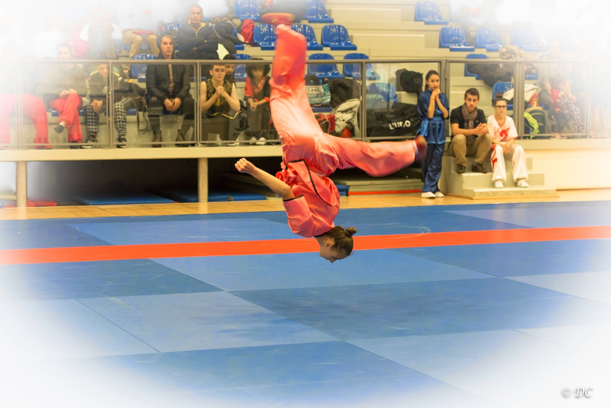 Quel sont les meilleurs sport de combat ?